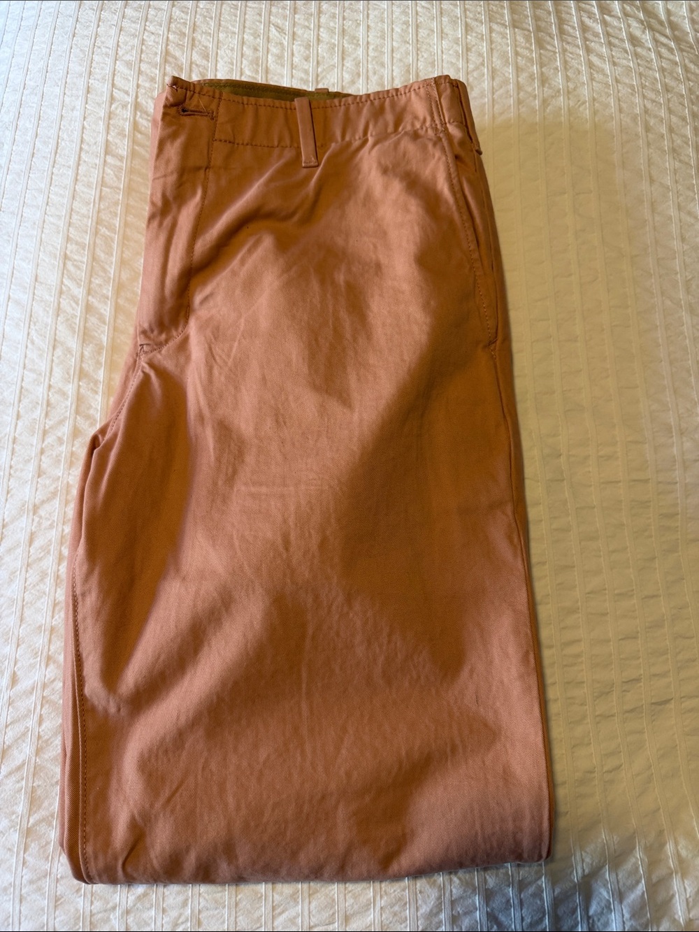 GAP Men's Chino Pants in Rust